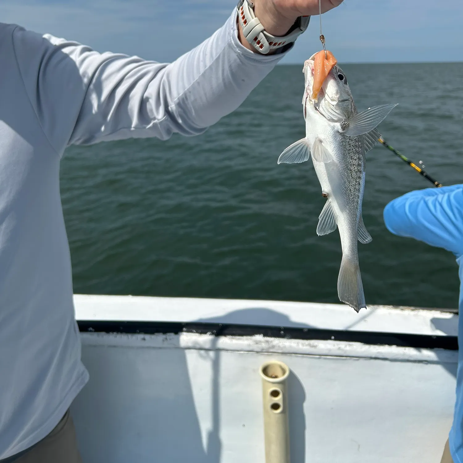 Fish caught on Fishbrain