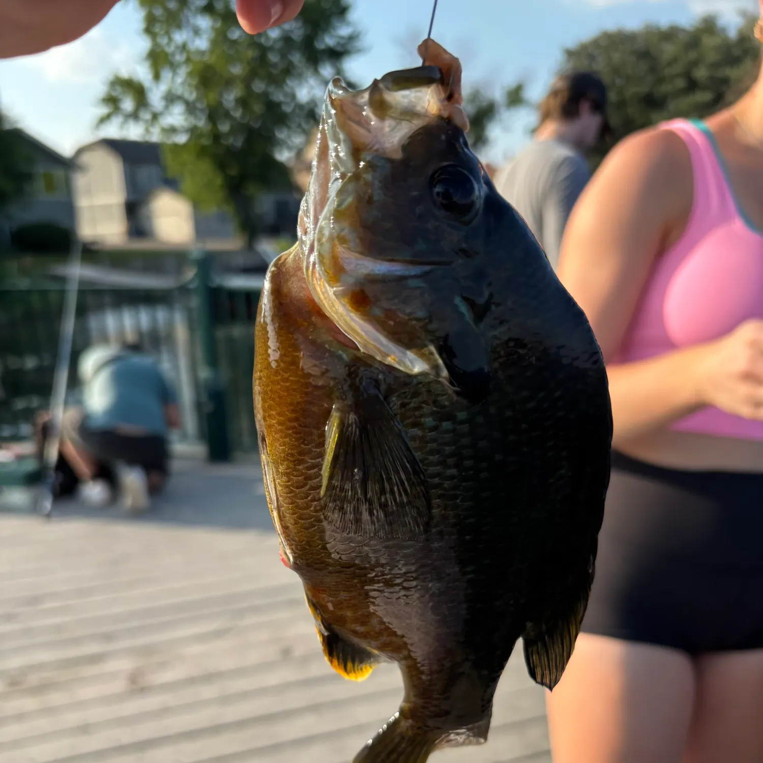 catch