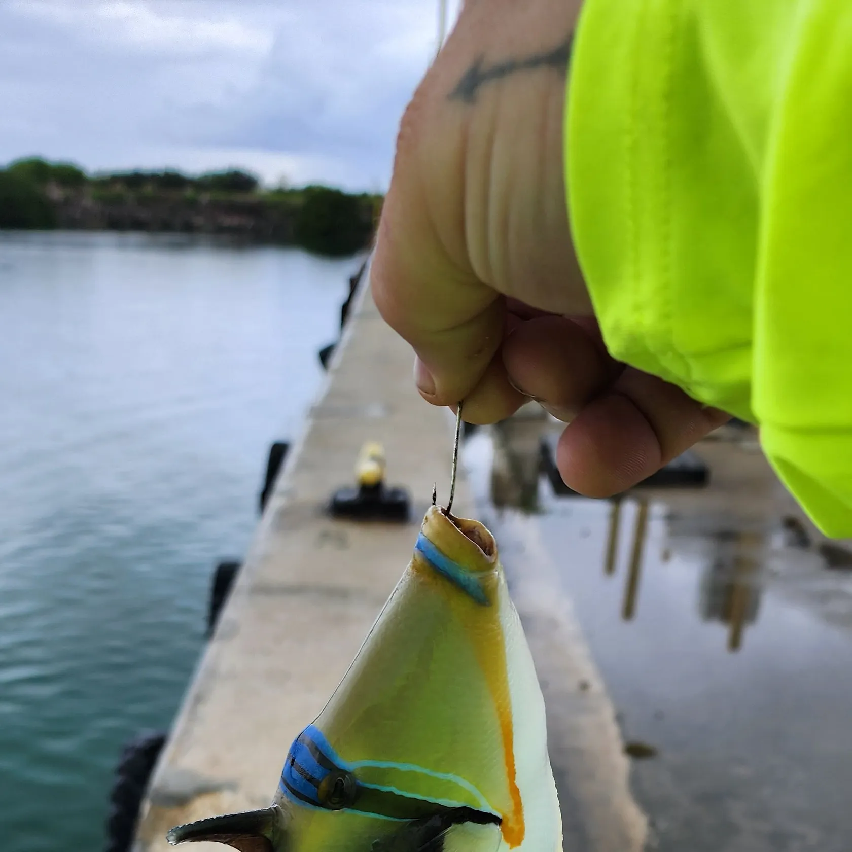 most liked catch image