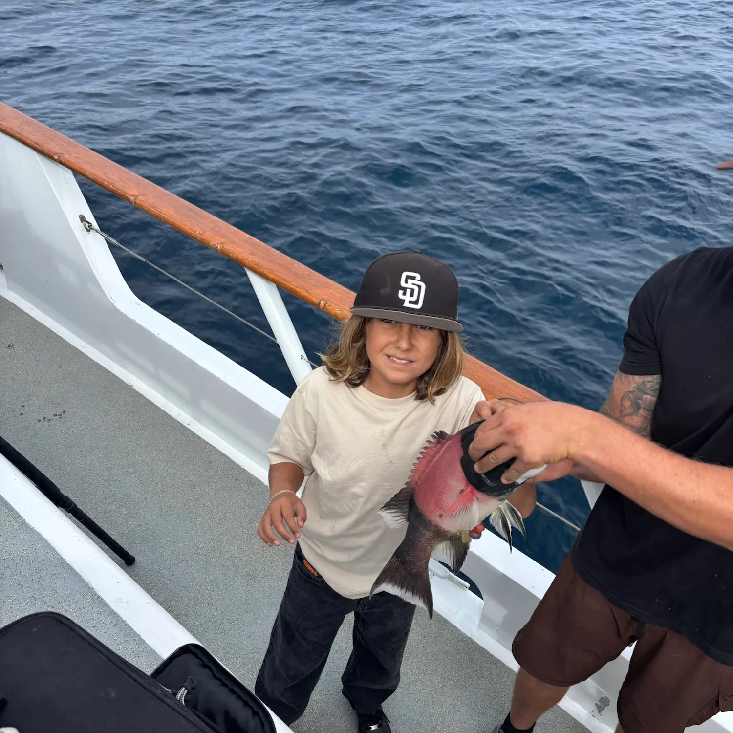 The most recent California sheephead catches on Fishbrain
