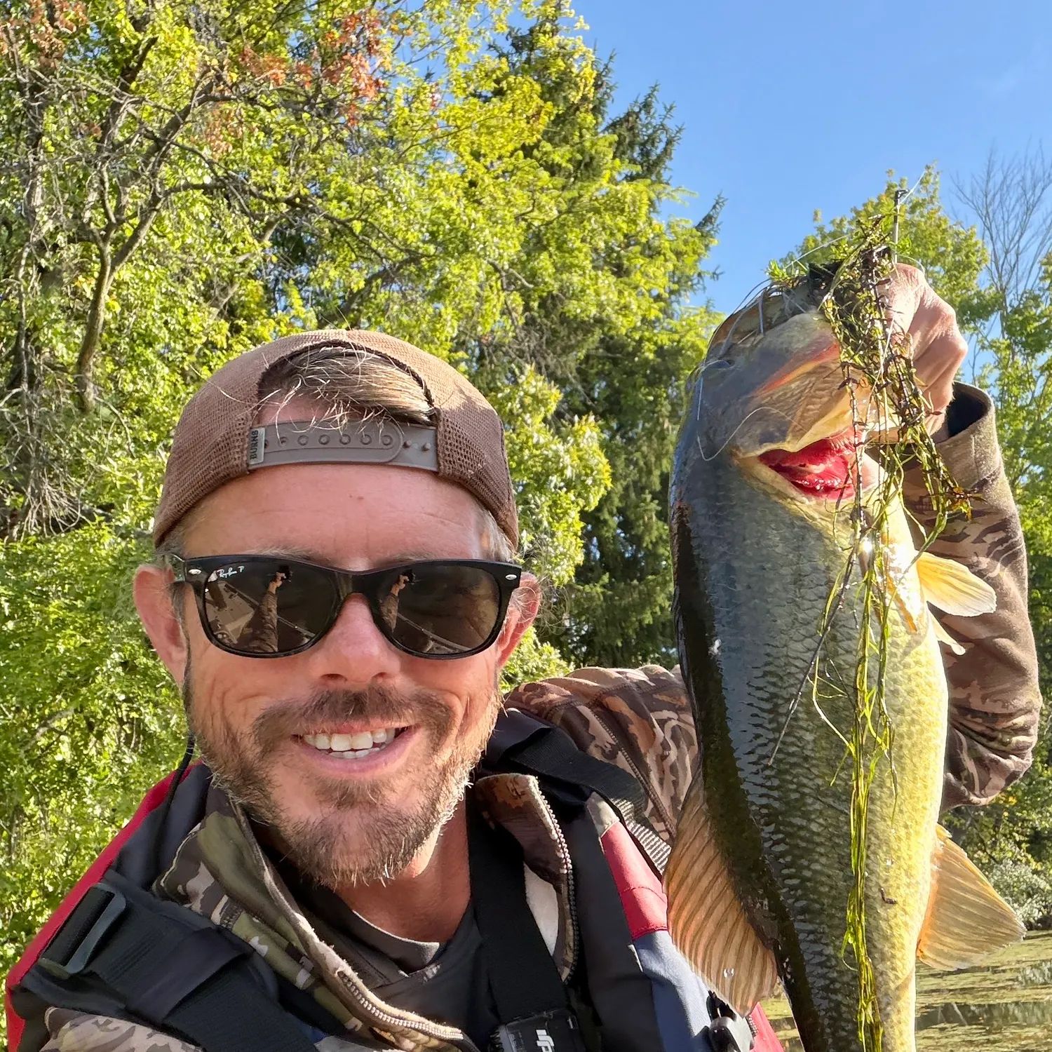 Largemouth bass caught on Fishbrain