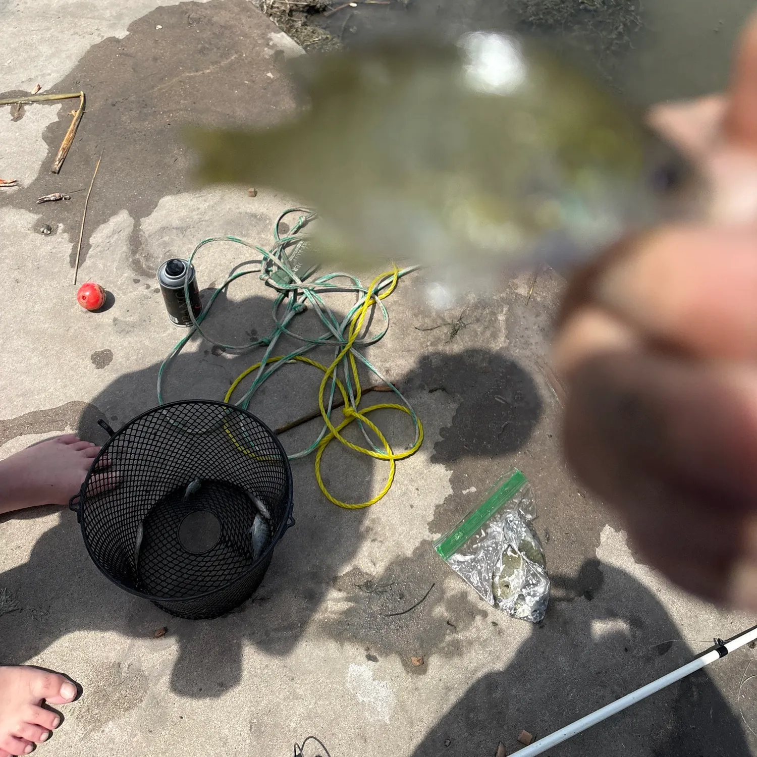 catch