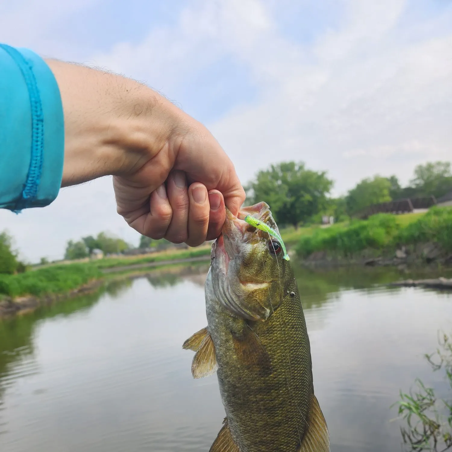 catch