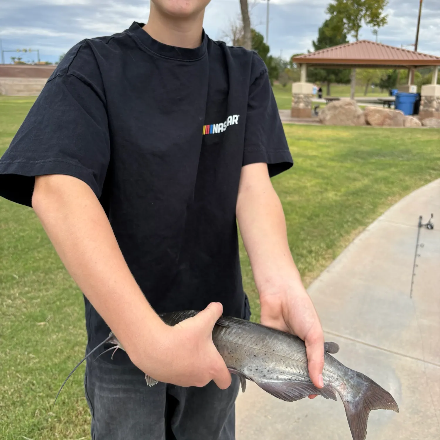 Channel catfish caught on Fishbrain