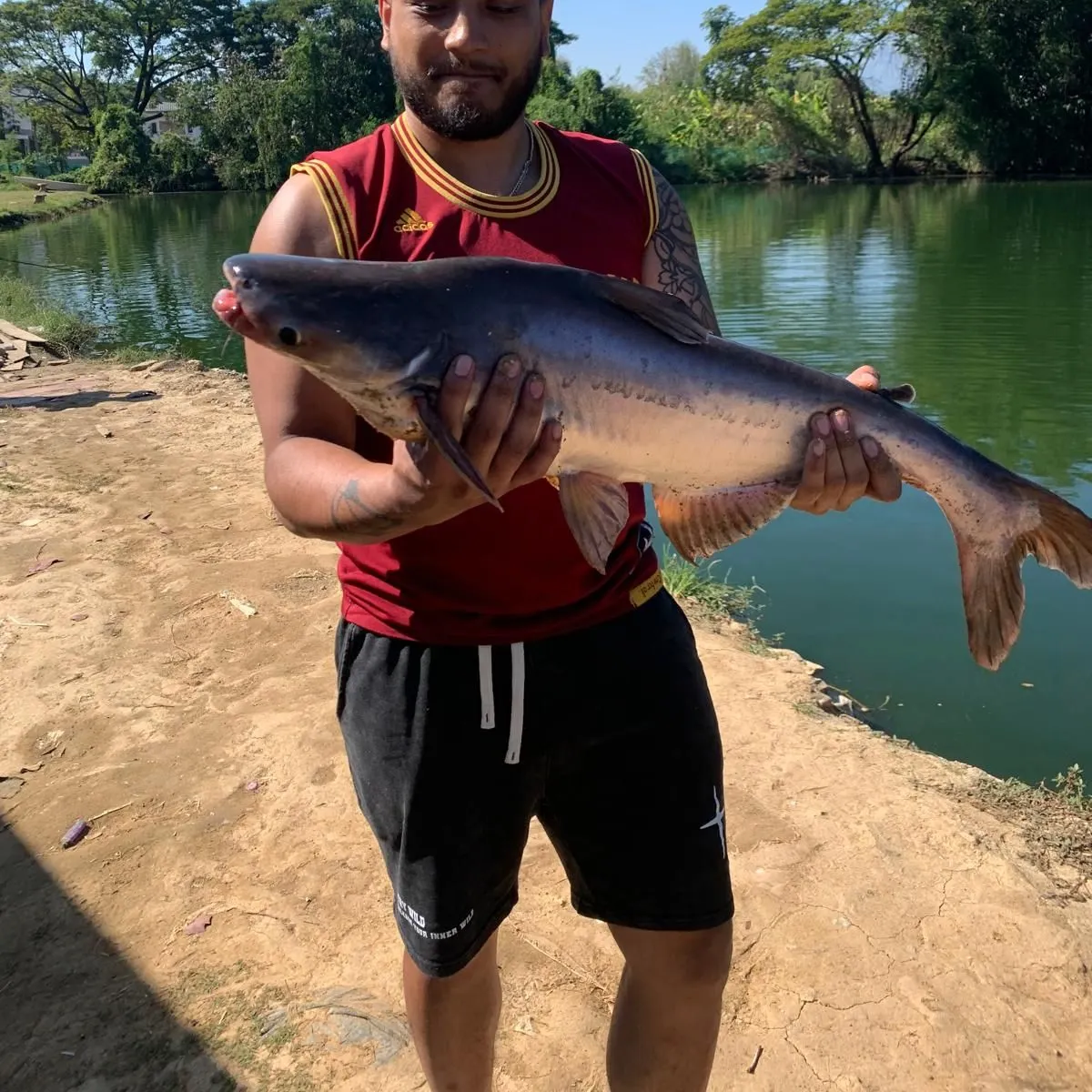 The most recent Mekong giant catfish catches on Fishbrain