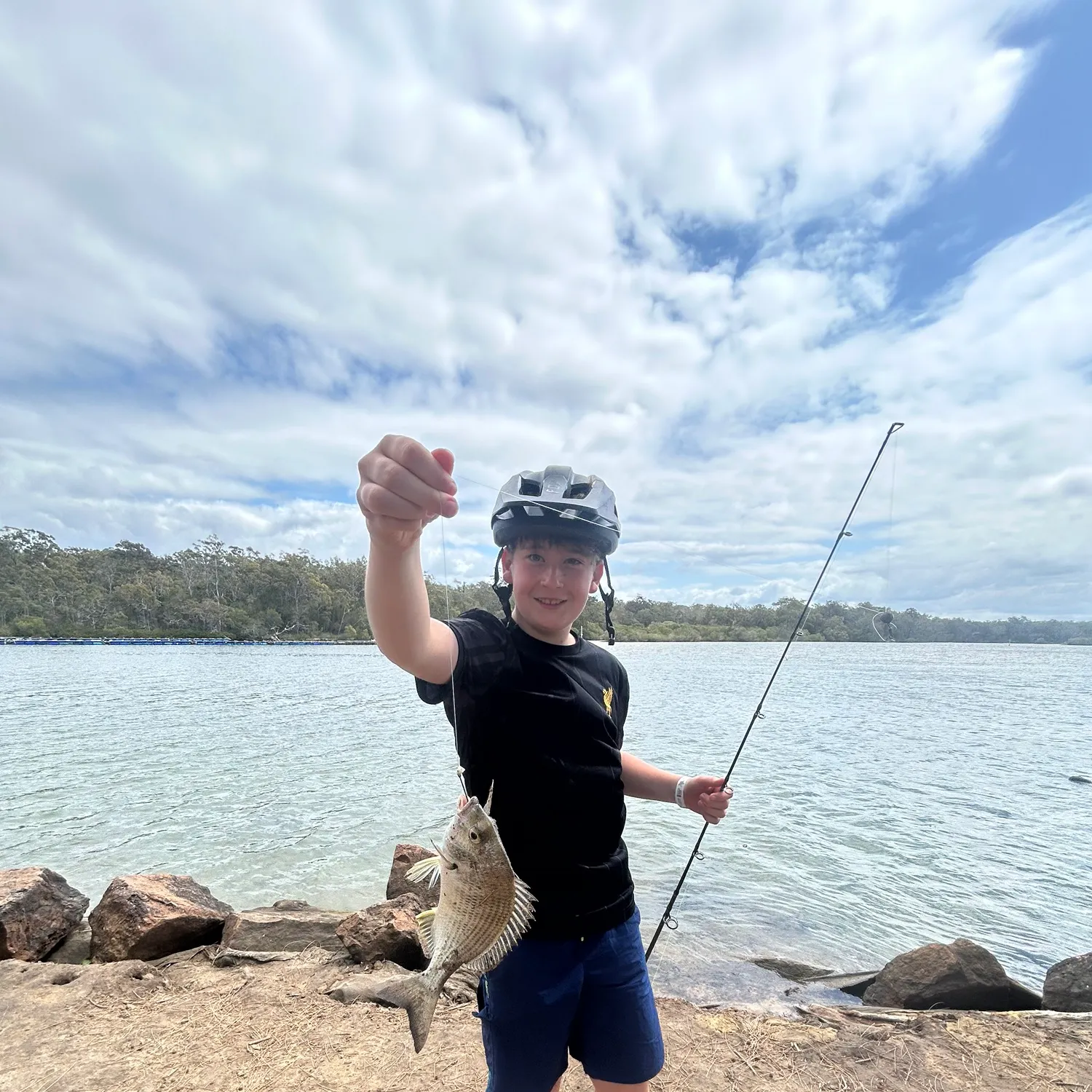 Surf bream caught on Fishbrain