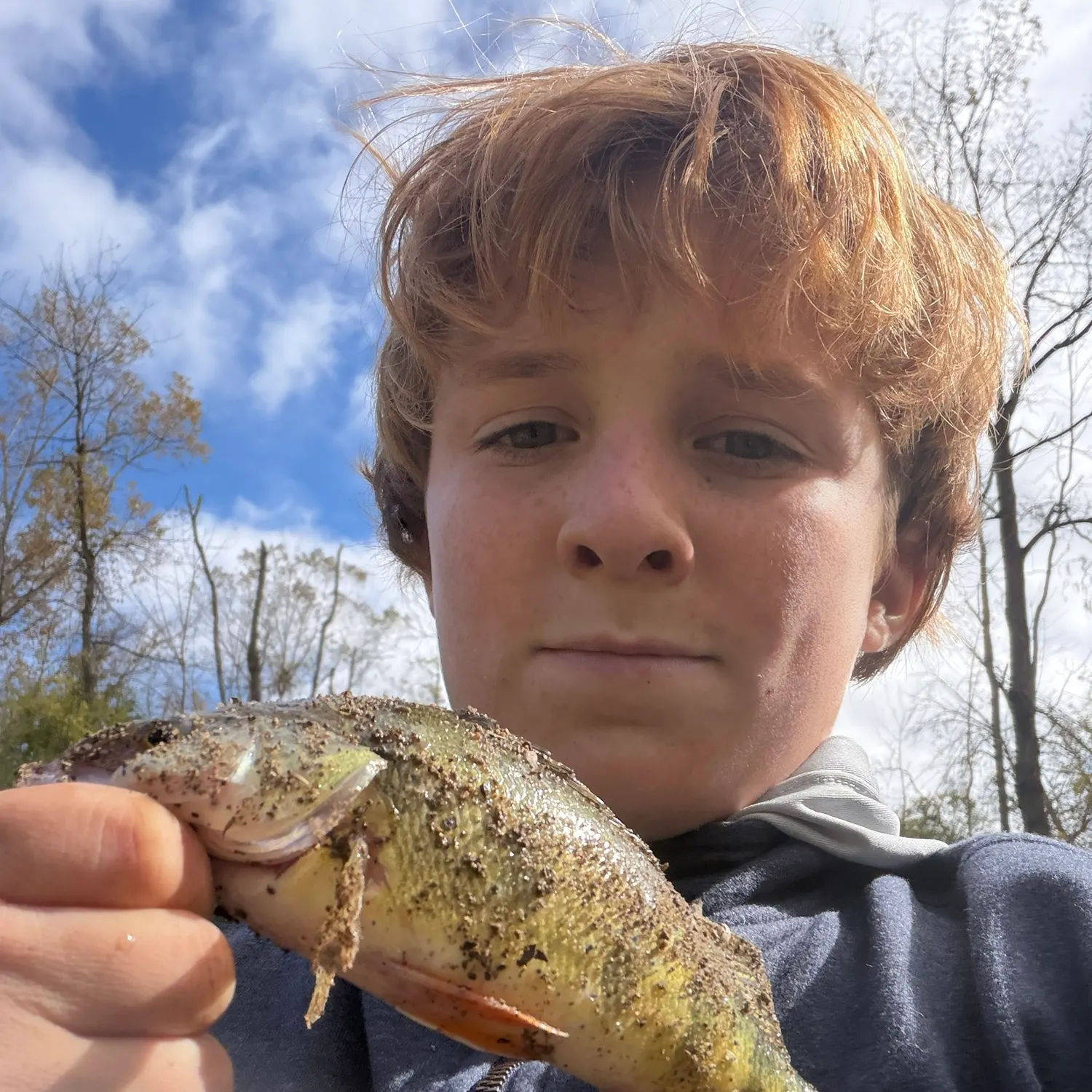 Yellow perch caught on Fishbrain