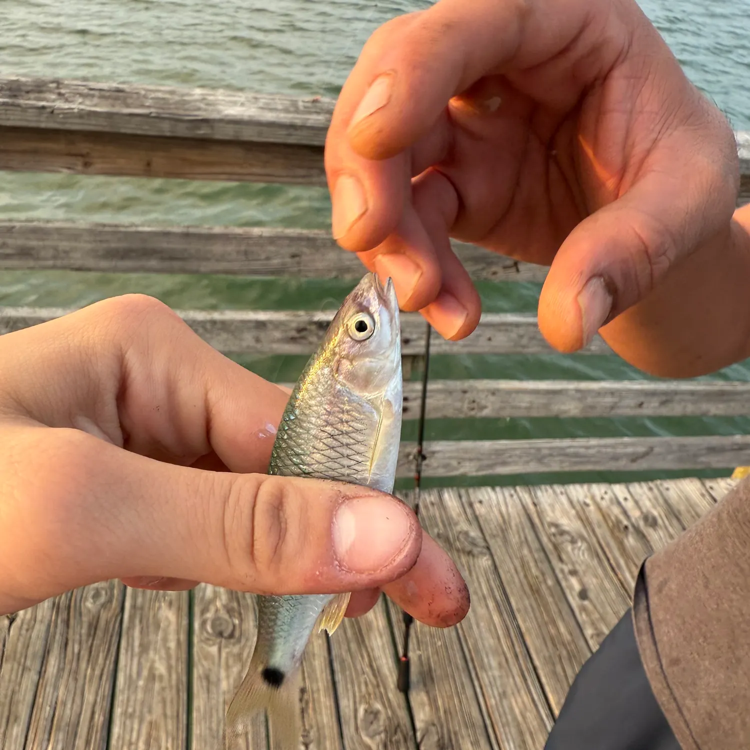 most liked catch image