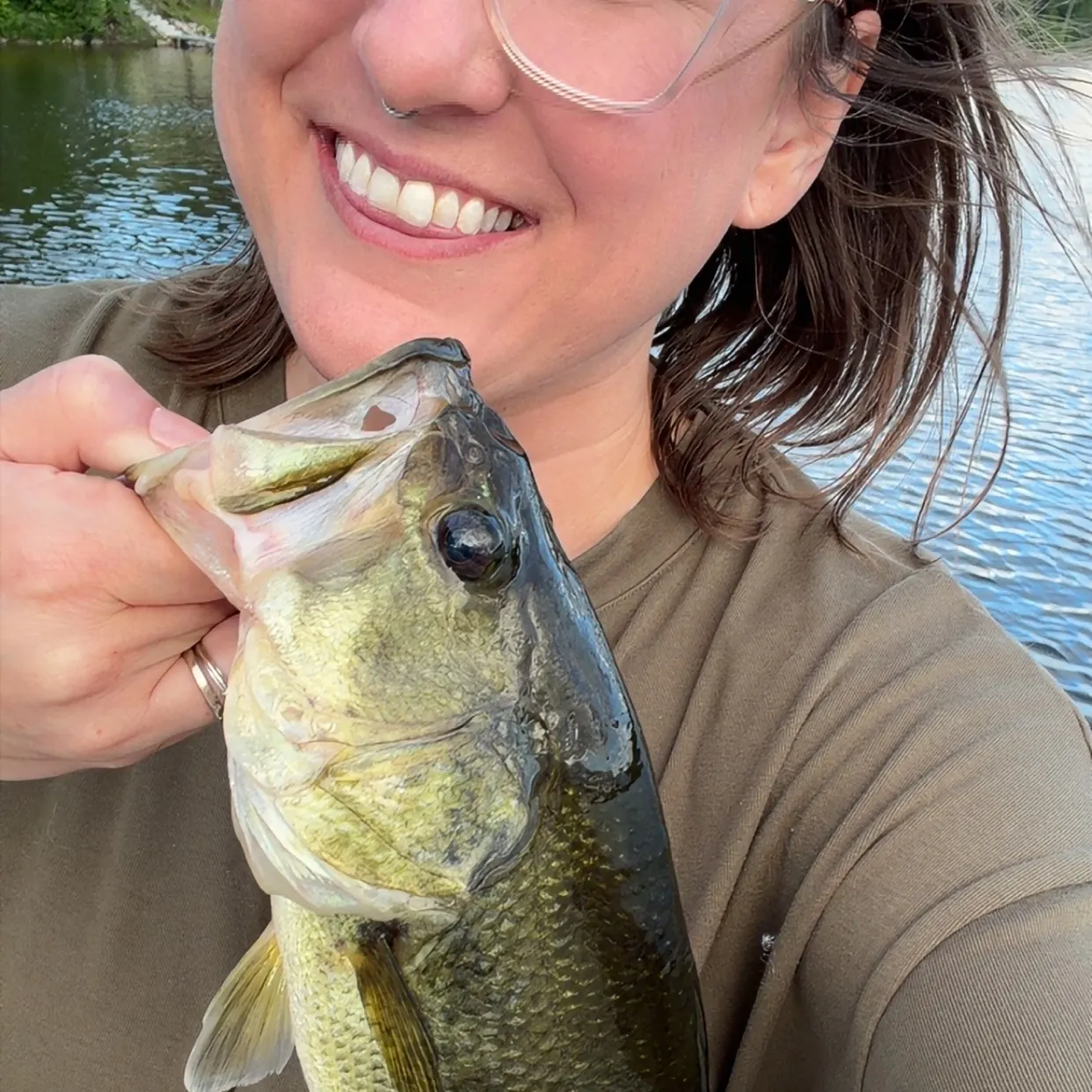 Largemouth bass caught on Fishbrain