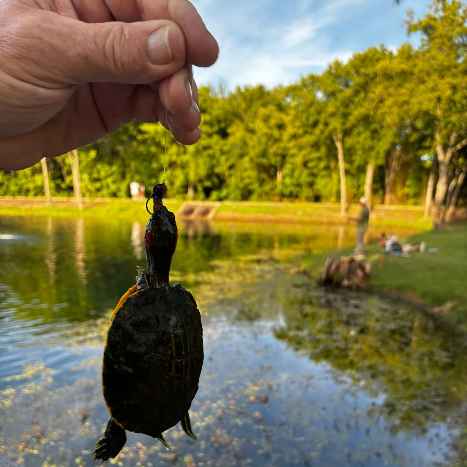 catch