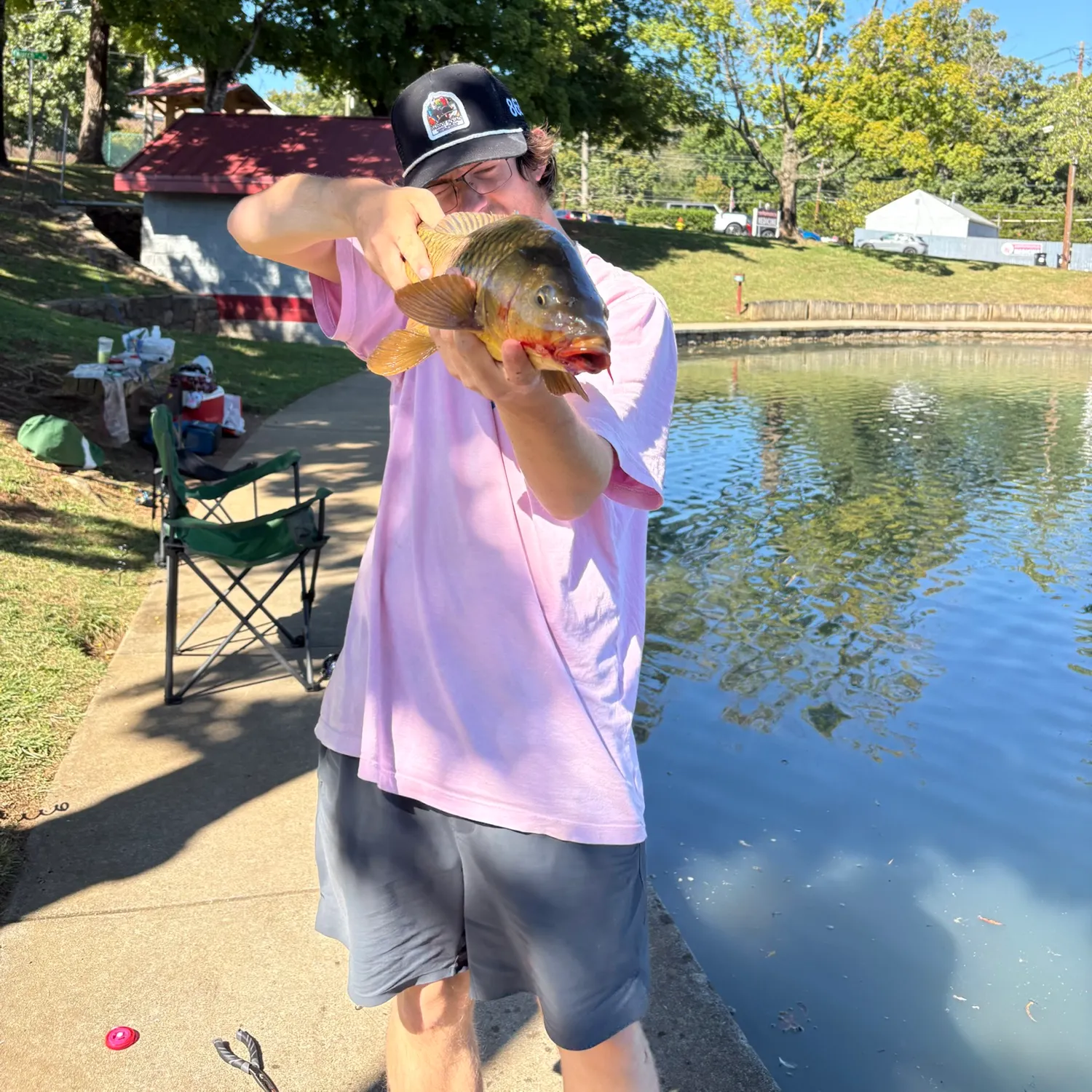 Common carp caught on Fishbrain