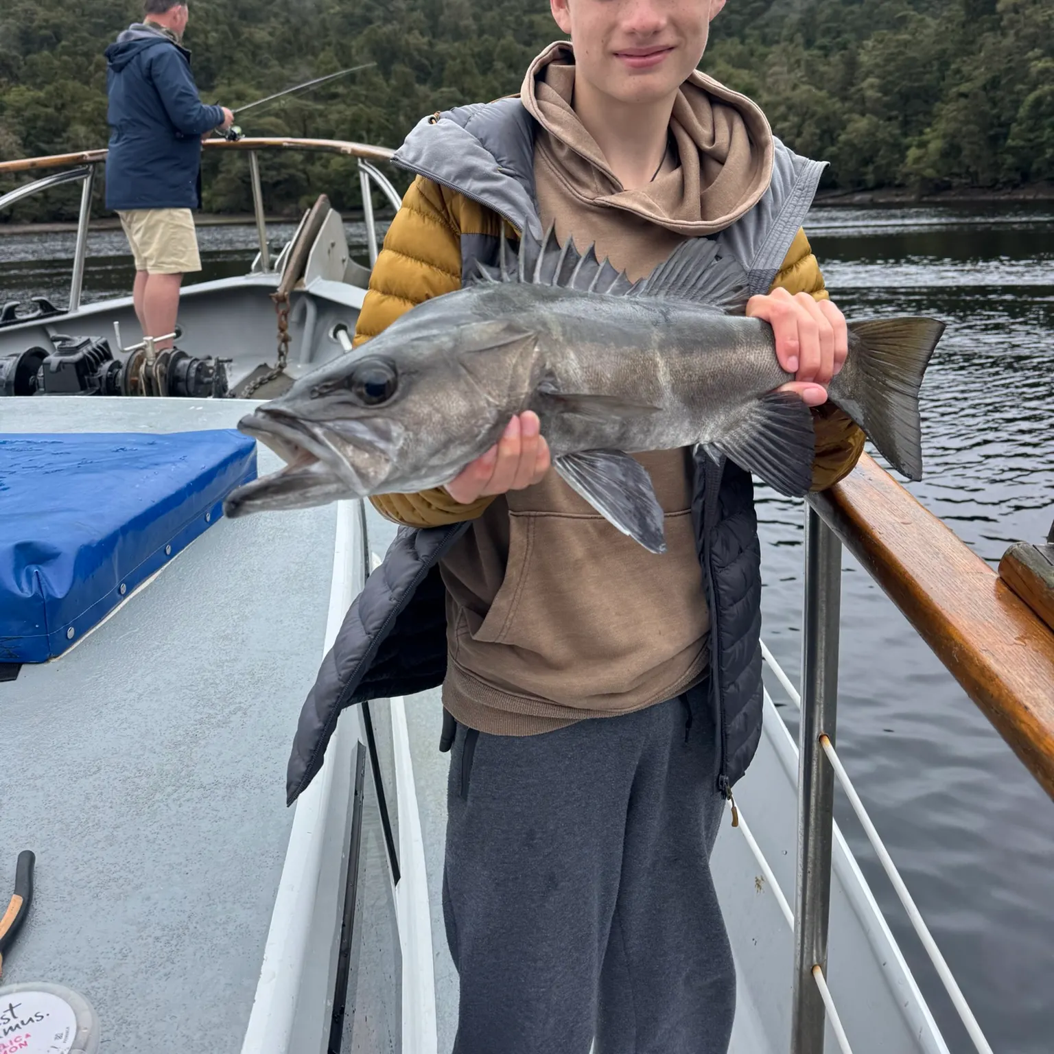 The most recent Hapuka catches on Fishbrain