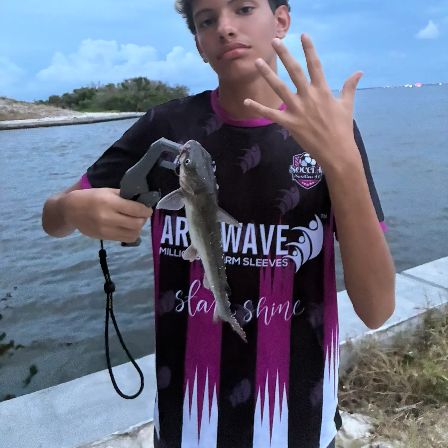 Gafftopsail sea catfish caught on Fishbrain