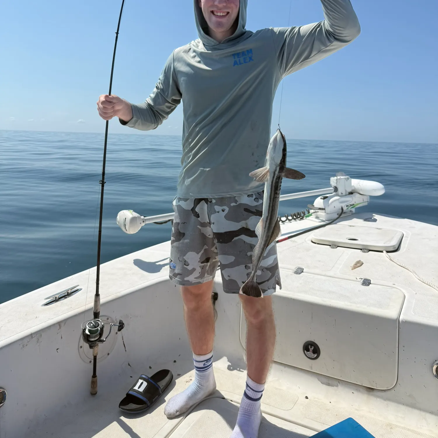 The most recent Common remora catches on Fishbrain
