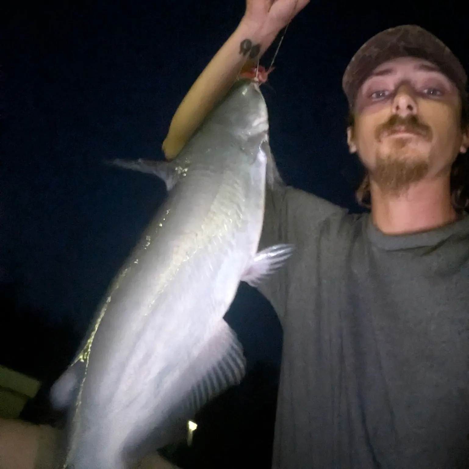 Blue catfish caught on Fishbrain