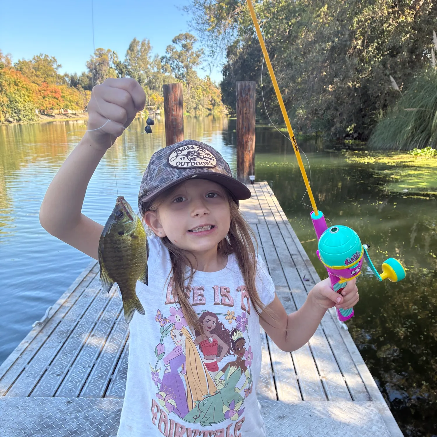 Bluegill caught on Fishbrain