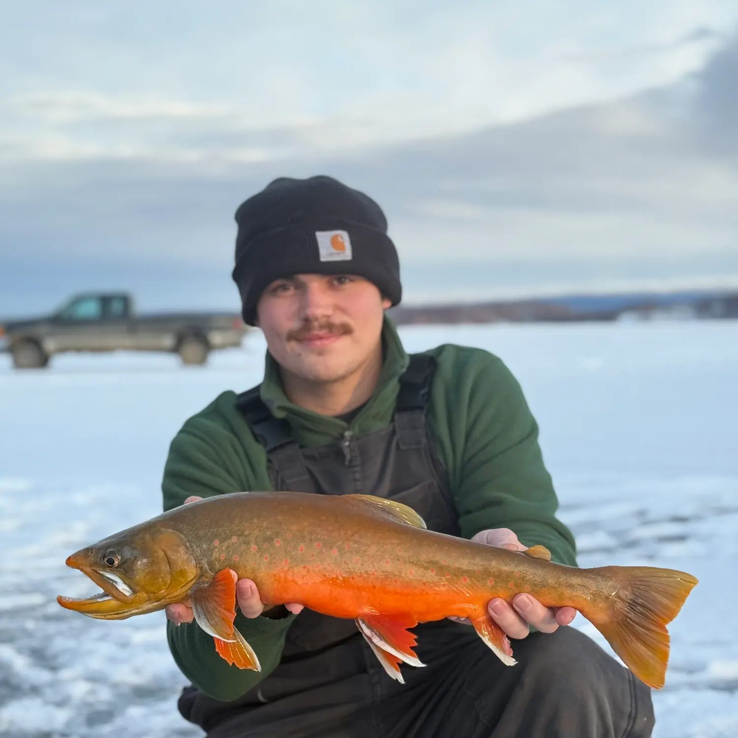 The most recent Arctic char catches on Fishbrain
