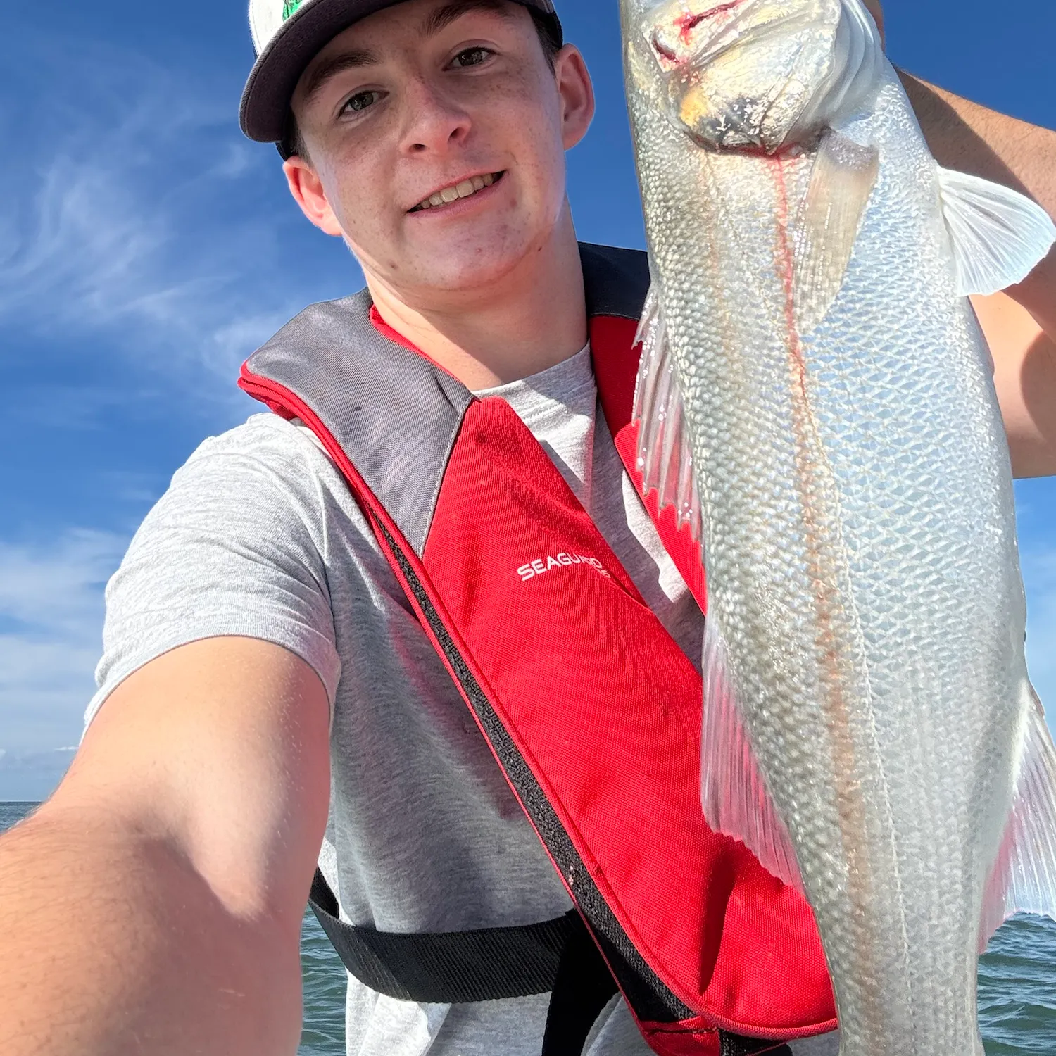 European seabass caught on Fishbrain
