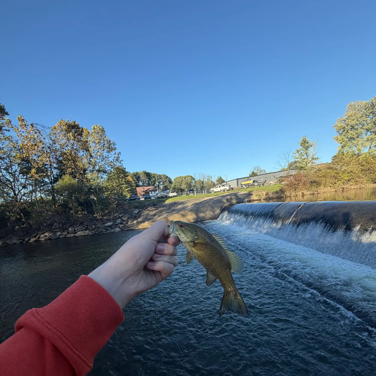 Smallmouth bass caught on Fishbrain