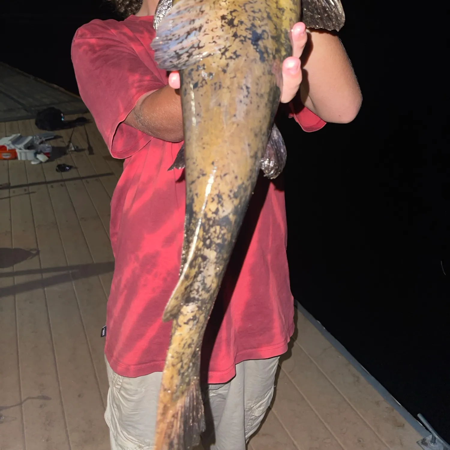 Flathead catfish caught on Fishbrain