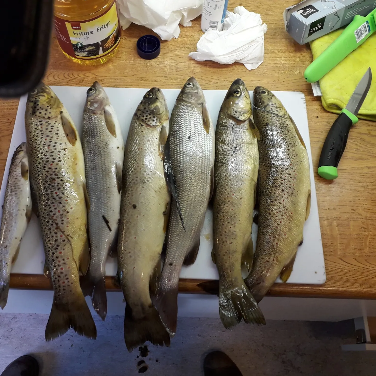 recently logged catches