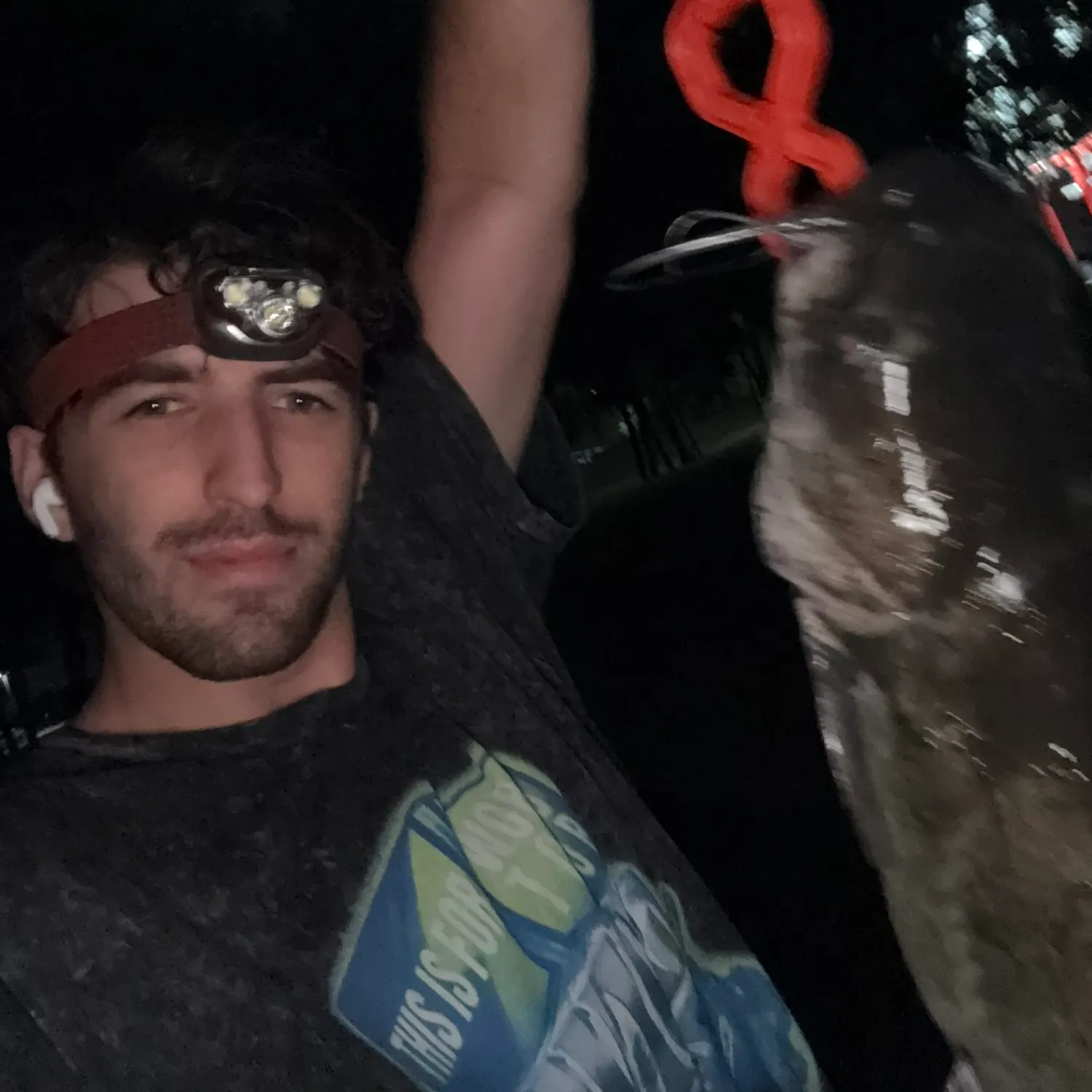 Channel catfish caught on Fishbrain